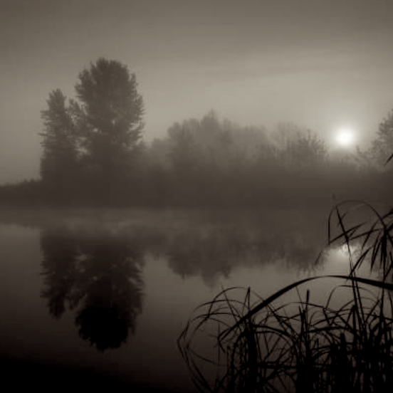 Pond